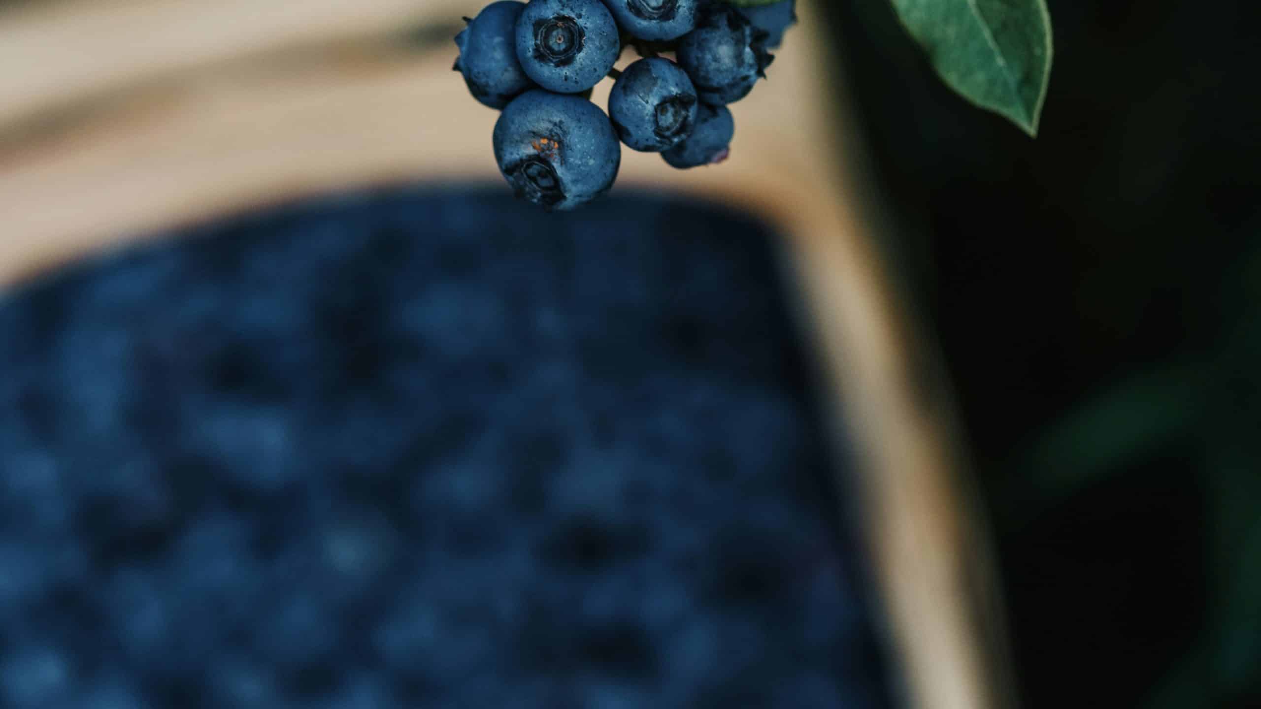 anita-austvika-Ny2vIrpuzlw-unsplash