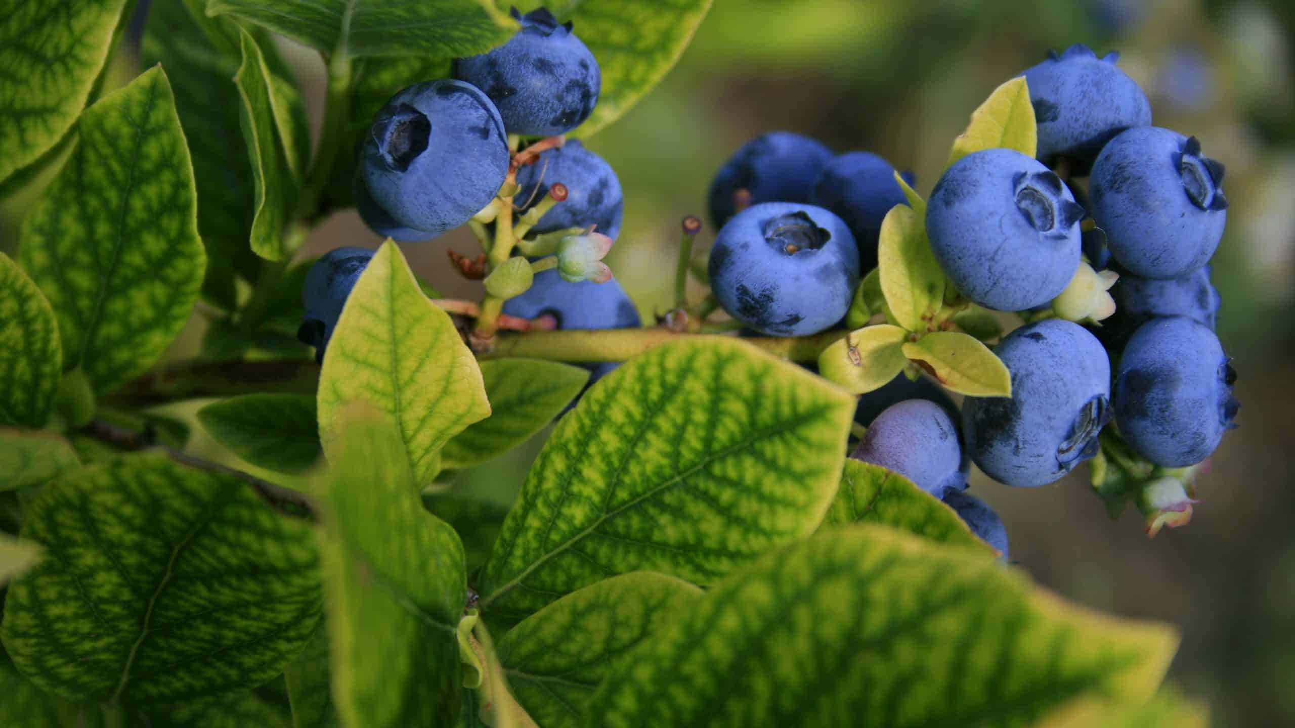elisabeth-joly-d7jhBvnZ9Pc-unsplash